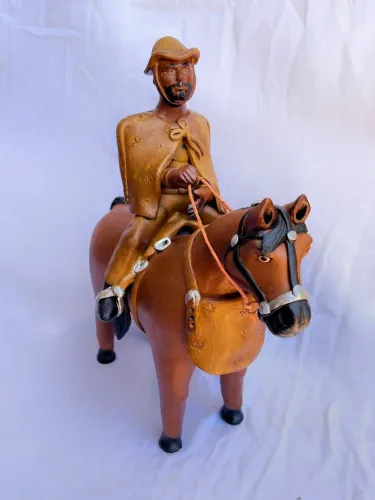 Vaqueiro do sertão 