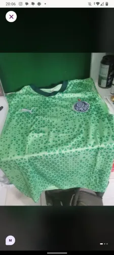 Regata treino palmeiras