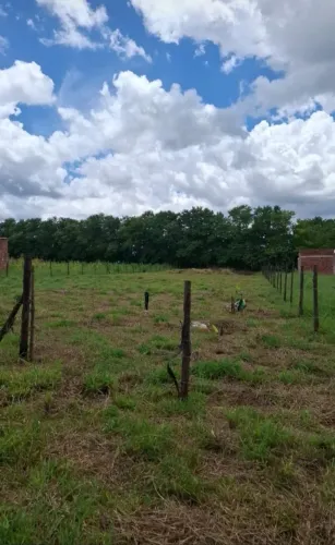 Vendo Excelente lote no Município de Padre Bernardo GO. Fazendinha Ouro Verde