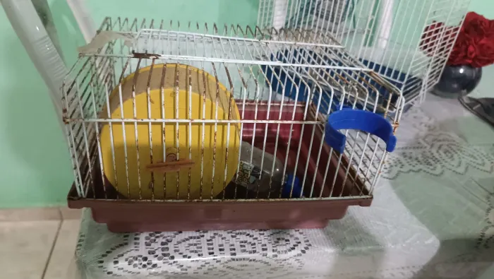 Gaiola hamster pequena 