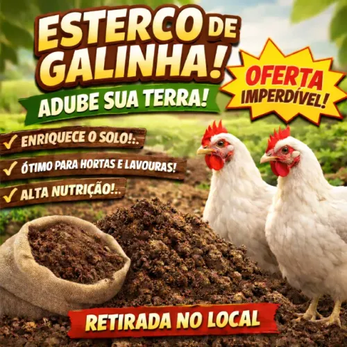 Esterco de Galinha / Cama de Frango / Adubo Orgânico (RETIRADA NO LOCAL)