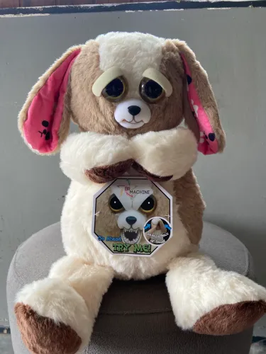 Feisty Cachorro BRMachine