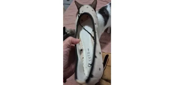 Sapatilha Tutu Off-White de Poá Preto com Laço 37