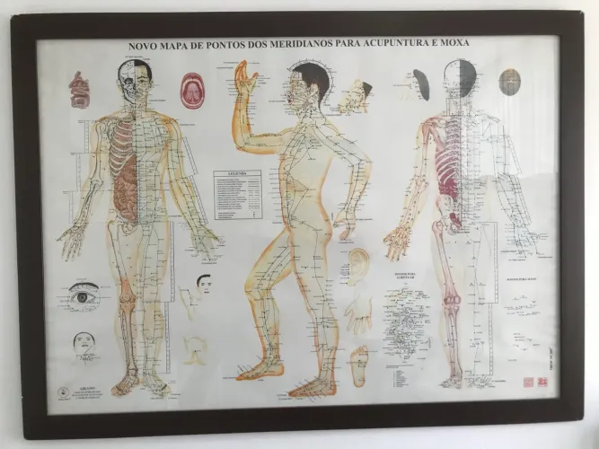 Quadro de Pontos de Acupuntura