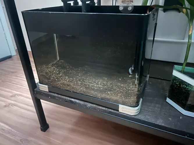 Aquário 32 litros