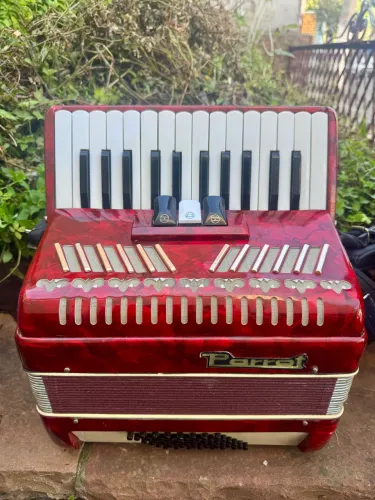 Acordeon Parrot 48 baixos
