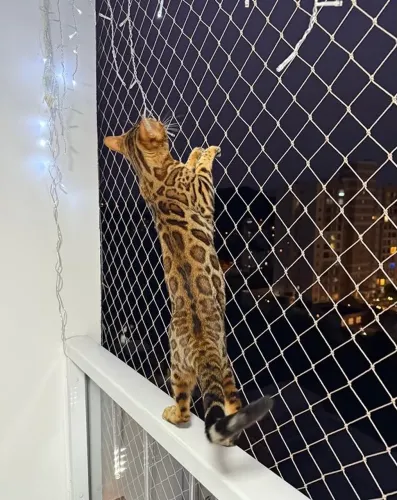 Rede de proteção para pets e crianças