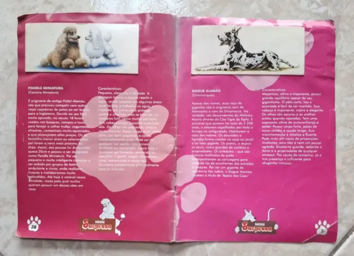 Álbum de Figurinhas Cães de Raça Chocolate Surpresa 1992 Completo Sem Capa<br>Sem Capa