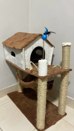 Casinha de gato
