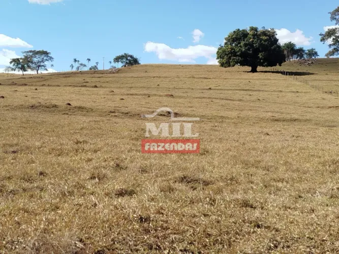 Chácara 3 alqueires ( 14.52 hectares) Itauçu - Go