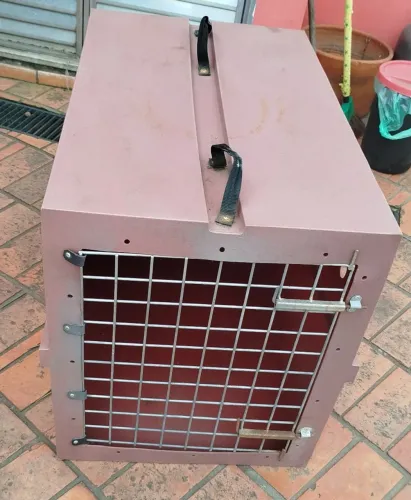 Caixa transporte cães gigante 80x60x50cm