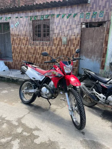 Lande 250 2019