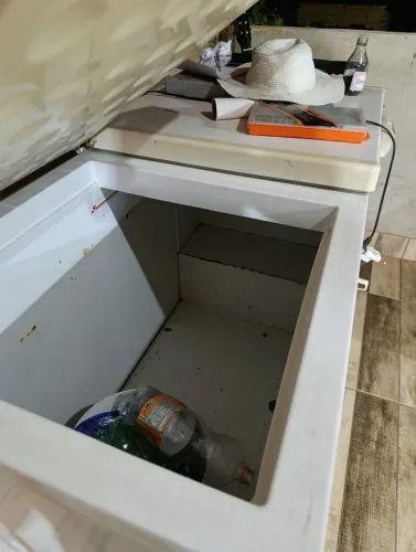 Freezer horizontal