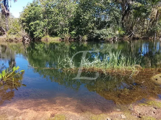 Fazenda com mais de 13.000ha, em formosa do rio preto, Bahia