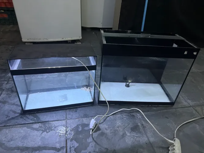 2 aquários 