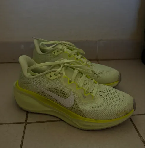 Tênis Nike Pegasus 41 Feminino, n 34