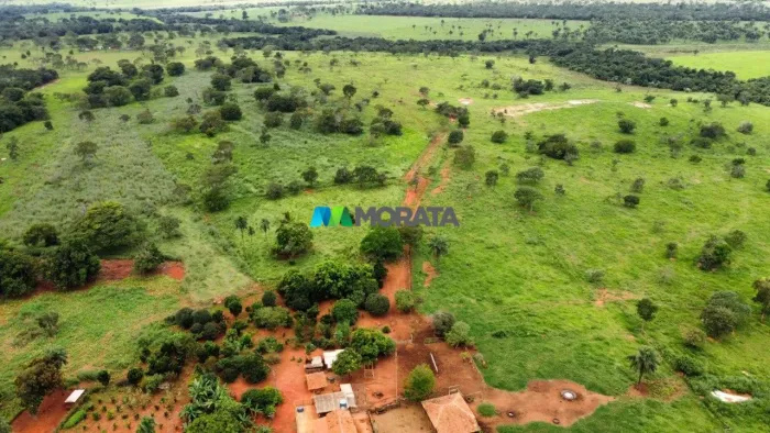 FAZENDA À VENDA - 64 HECTARES - REGIÃO DE MORADA NOVA DE MINAS (MG)