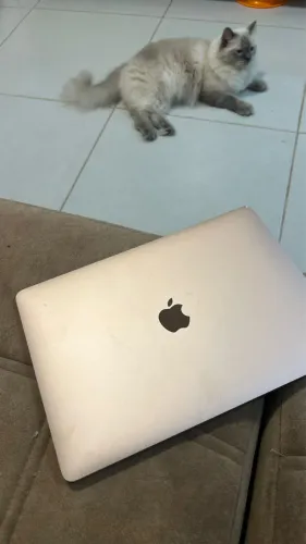 Troco em iPhones MacBook Pro 2019 128gb/8gb poucos ciclos