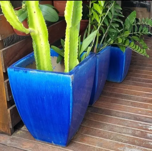 Vasos de plantas