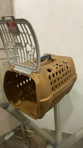 Vende- se caixa de gato