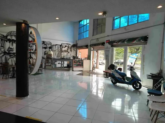 Prédio comercial em Avenida na Zona Central/ 750 m²/ 12 salas/ 4 andares