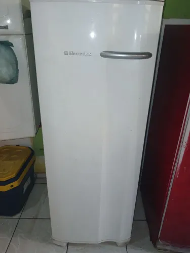 Freezer vertical