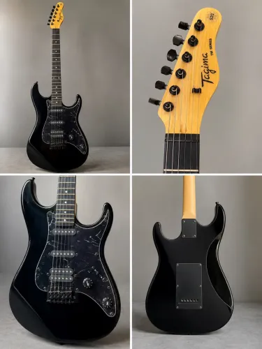 GUITARRA ELETRICS TAGMA