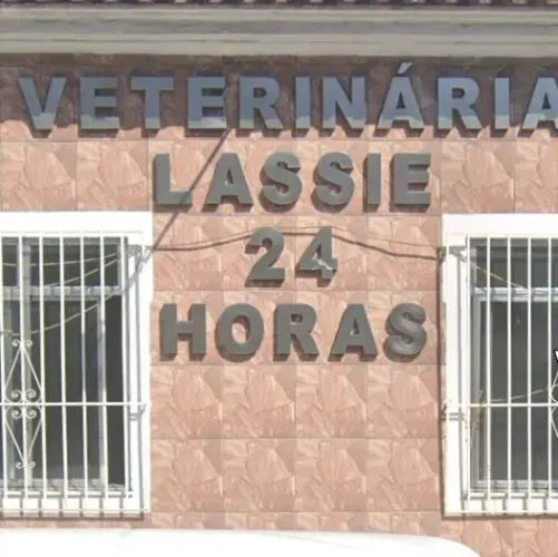 Vaga para Médico Veterinário