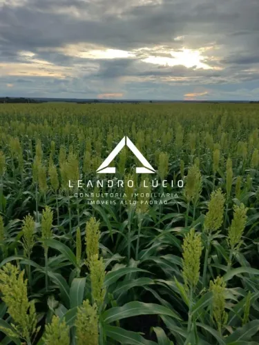 Fazenda para Venda em Ribeirão Cascalheira, Zona Rural