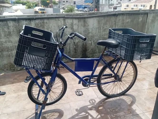Bike cargueira
