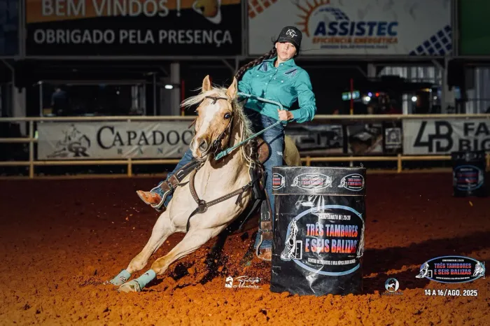 Cavalo