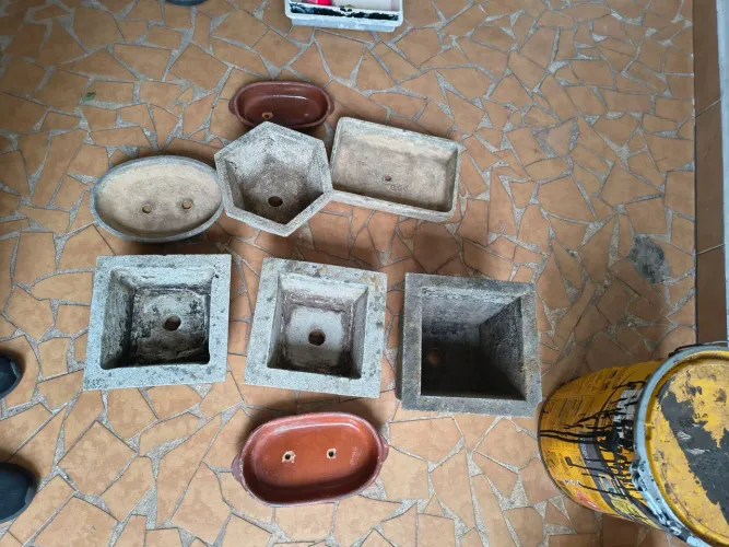 8 vasos de plantas