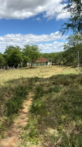 Vende -se Sitio