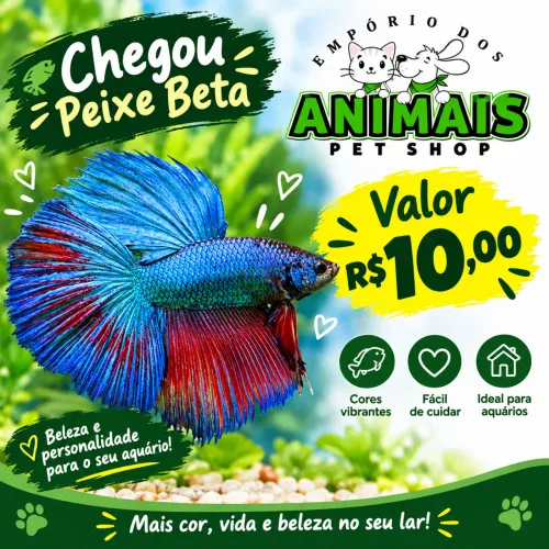 Promoção Pet Shop