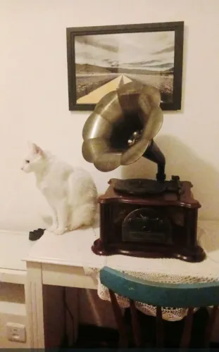 Vitrola Retrô Classic 33.752