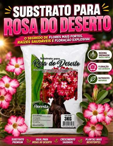 Substrato para Rosa do Deserto? - 3KG Apenas R$26