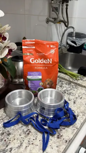 Coleira + pote de ração + ração 1kg filhote 