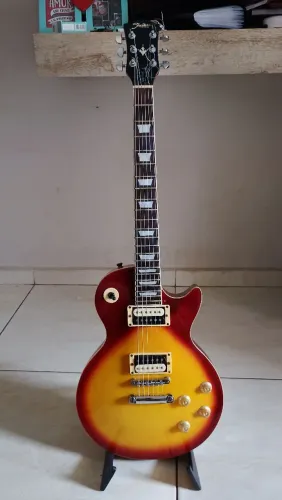 Guitarra shelter 