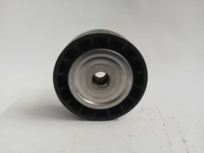 Polia Correia Alternador Renault Clio Sandero 1.0 16v 2007