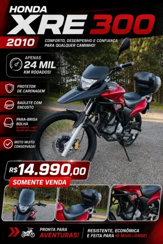 XRE 300 2010