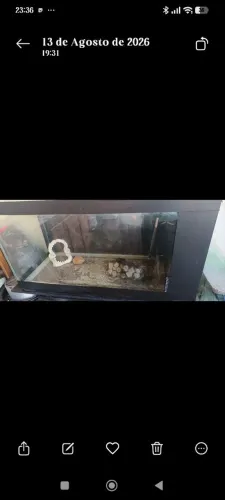 AQUARIO 200LTS 