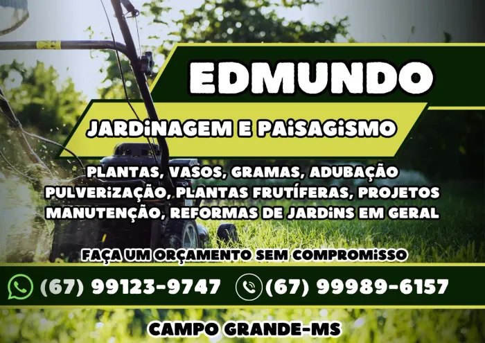 Edmundo Jardinagem e Paisagismo