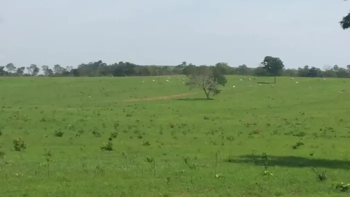 Fazenda 3.150 hect em alto Araguaia MT. 65 milhões 