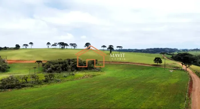Terreno Rural 2.070.000m² com Mangueira e Brete, 550.000m² de Lavoura em Cerro Negro - SC
