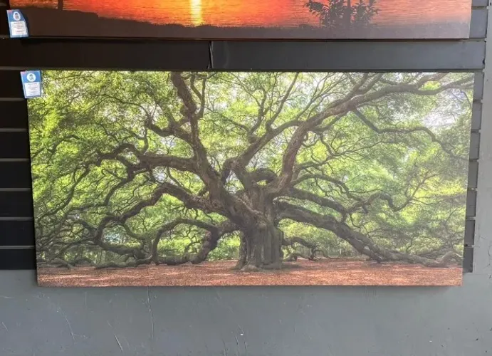 Quadro decorativo Arvore