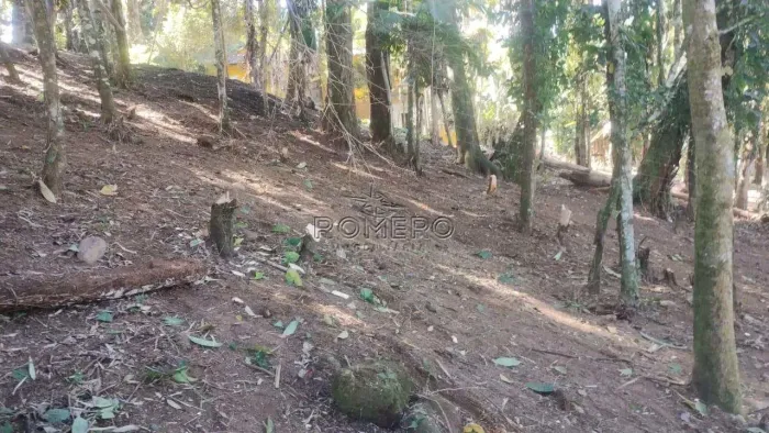 Terreno, Sertão da Quina, Ubatuba - R$ 250 mil, Cod: 2557