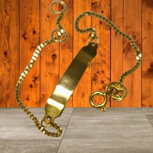 Pulseira Infantil de Ouro Amarelo Com Placa de Gravação