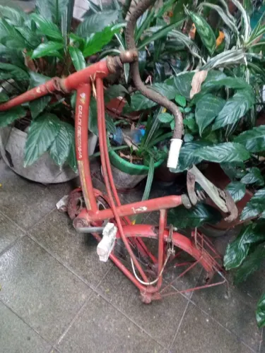 Quadro Caloi Cecizinha