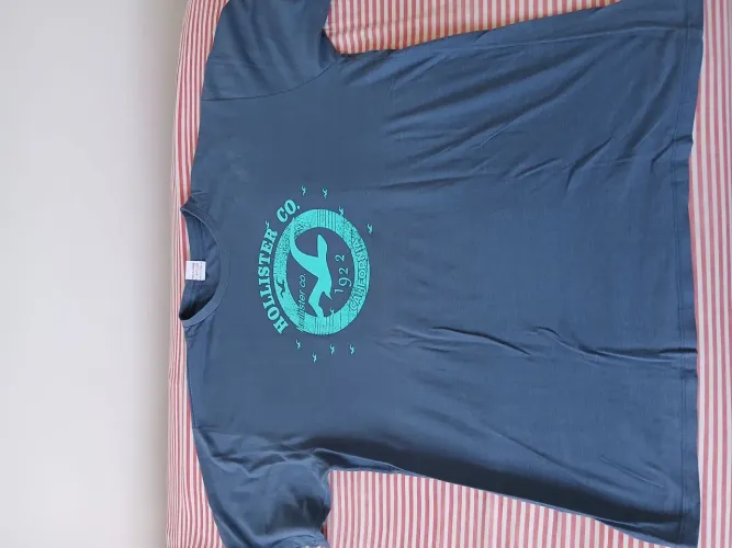 Camisa Hollister
