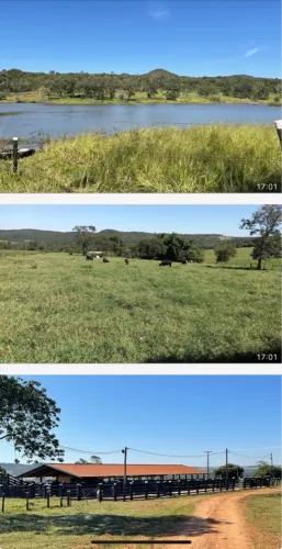 Fazenda modelo próximo Uberlândia 